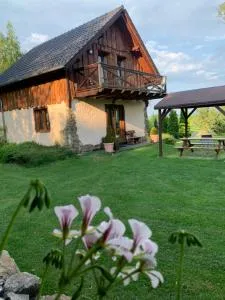 Dom Gór-ski - Wojcieszyce