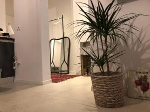 Homestories Venice Mestre