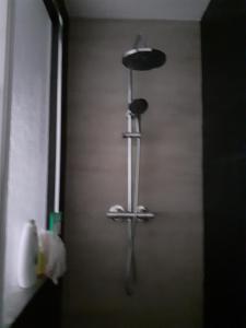 Appartements Charmant appartement quartier des thermes : photos des chambres