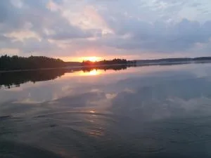 Villa Tuomiranta - Kardrag