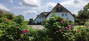 Deichhof Whg 21 - Dunsum