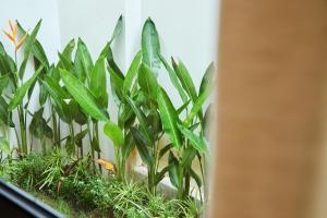 PROMO! BRAND NEW APARTMENT! Perfect location central Canggu