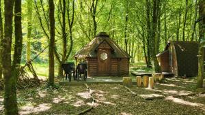Chalets Le Domaine Insolite de Broceliande : photos des chambres
