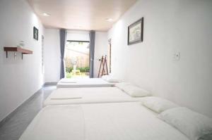Newlife Homestay
