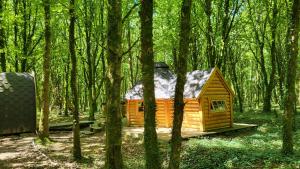 Chalets Le Domaine Insolite de Broceliande : photos des chambres