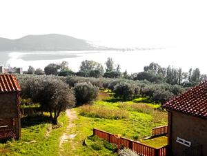 Trasimeno Nature house