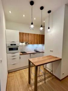 Splendid 1 bedroom and 1 sofabed renovated 2P3 by RIVAEVENT