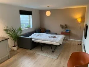 Central and modern apartment - Brumunddal