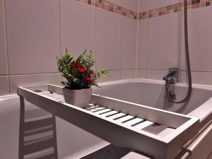 Vivid, Stylish, Central, Bold, Retro, Intimate, Red Accents, Striking Design, City Centre, 1BR