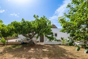 Trulli autentico Dipinto