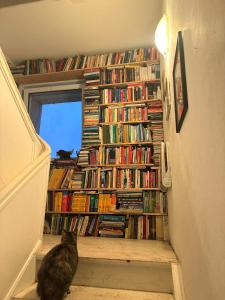 Farm 2 Betten Free WiFi Gemeinschaftsbad Naturgarten