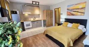 Cozy modern Apartment SUNRISE studio 35m2 balcony 3 persons - Kobierzyn