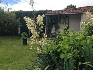 Maisons de vacances Le Phoenix : photos des chambres