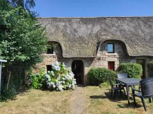 maison rénovée traditionnelle en chaume - 埃讷邦