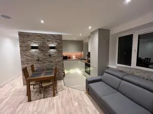 Luxurious stay at modern apartment (Cesis) - Līvi