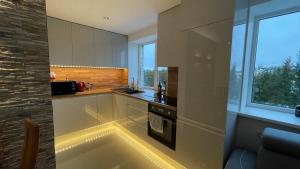 Luxurious stay at modern apartment (Cesis)