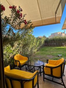 Seemingly cozy with a pool