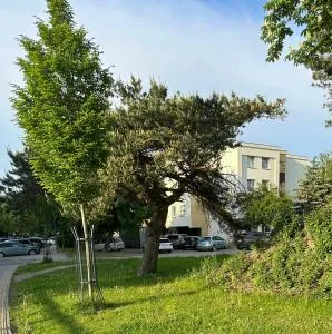 AmberApart2 - Vydmantai