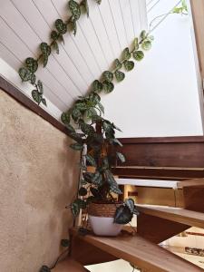 Maisons de vacances Chestnut - Charming cottage - Renovated 2024- Gite de charme - Renove 2024 : photos des chambres