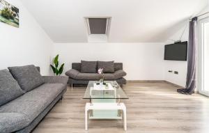 Gorgeous Apartment In Bibinje With Wifi