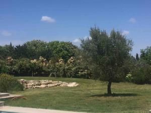 Appartements Rez-de-chaussee de villa 45m2, piscine, climatisation, parking : photos des chambres