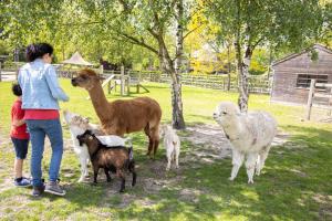 Recreatiedomein Warredal - The Lodge