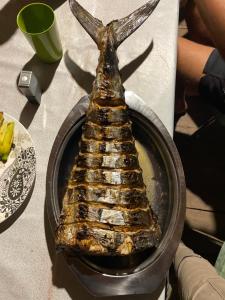 Fakriba camping tour and travel