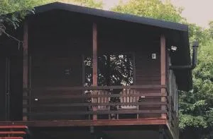 Walnut house - Tʼetʼri Tsqaro