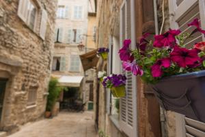 Appartements Villa Lorraine : photos des chambres