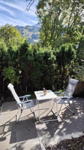 1,5 Zimmer Ferienwohnung Lindenmatte Frutigen Berner Oberland