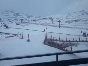 Appartements Studio cosy 4/5 pers, skis aux pieds, Arette - FR-1-602-19 : photos des chambres
