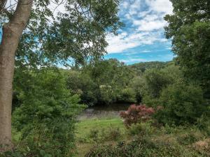 Kingfisher Cottage Newcastle Emlyn