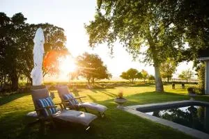 Doran Vineyards - Paarl