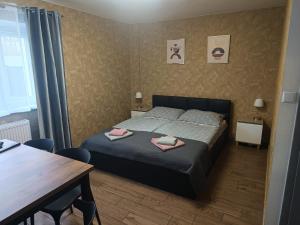 Apartament Japko - 3hvězdičkové hotely ve městě Hlivice