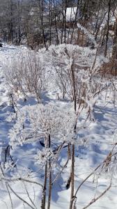 Затишний будиночок