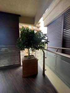 Dreamland Oasis 1206 Studio Room