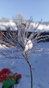 Затишний будиночок