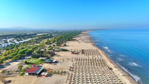 Emerald Apartment - 286