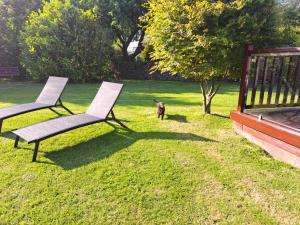 Pheasant Lodge Scottish Borders