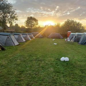 Luxury Pop Up Camping & Hotel Package & Private Transport to Tomorrowland