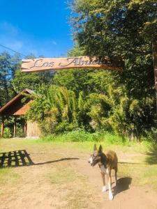 Inigualable Cabaña a orillas del Lago Hermoso