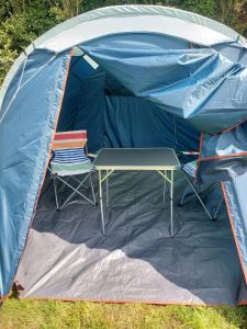 Luxury Pop Up Camping & Hotel Package & Private Transport to Tomorrowland