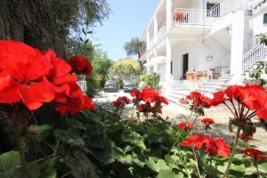 Angeliki Studio and Apartment Paxoi Greece