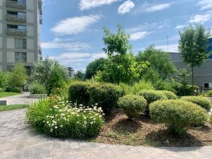 Aviatiei Park new building design apartment with free parking