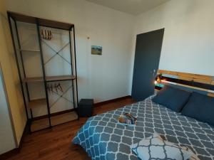 Appartements Le Pavin confort - Residence de Michele Murol : photos des chambres