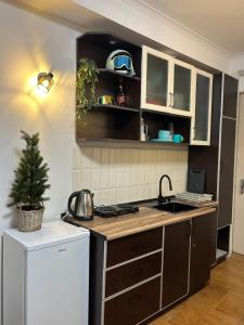 Cozy and Tiny Nest in Gudauri