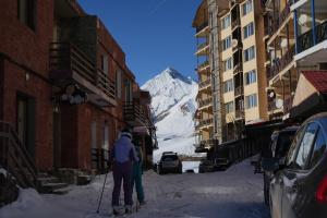 Cozy and Tiny Nest in Gudauri