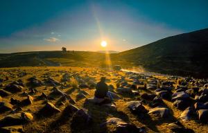 Malka Casas - Hoteles