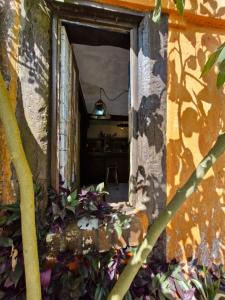 Cabana praia do rosa