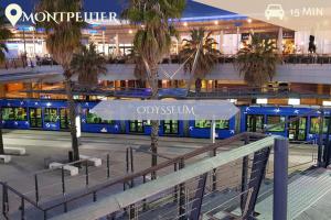 Appartements Le Petit Balinais - Standing - Wifi : photos des chambres